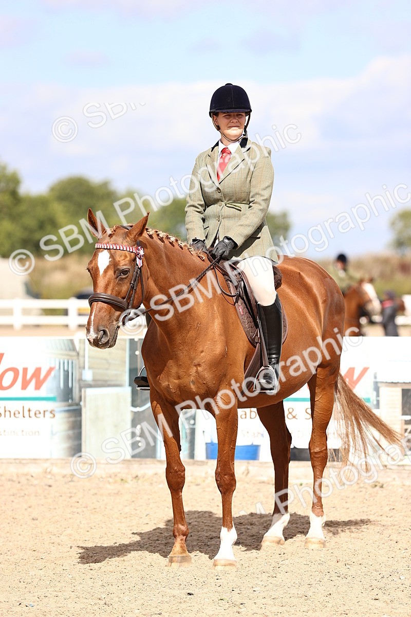 SBM_14312 - Class 411 - Prettiest Mare (IH OR Ridden) Adult