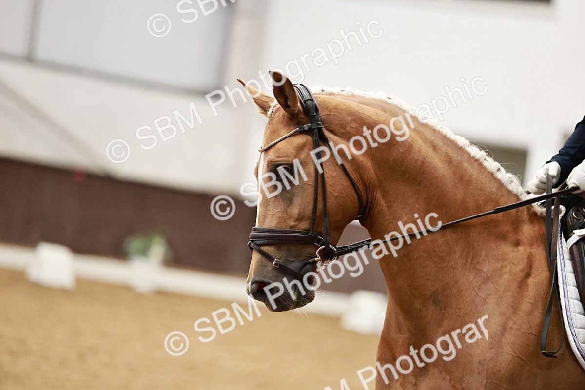 SBM_000047 - Class 1 - Prelim 6 Gold - 10.00-11.10