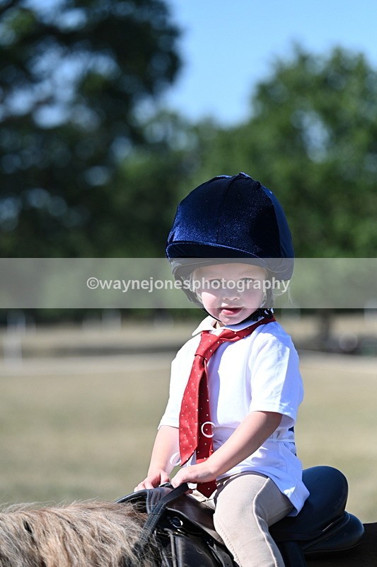 WJ7_1497 - Class 42 Most Handsome Gelding