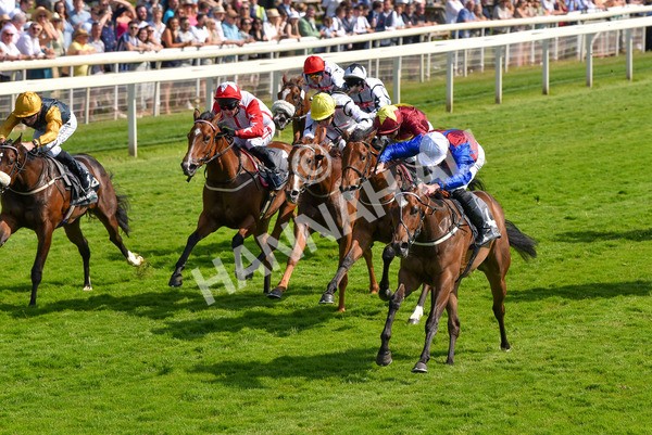 160623-Race 5-Harvanna-6372 - Race 5 4.10pm Juddmonte British EBF Fillies' Restricted Novice Stakes