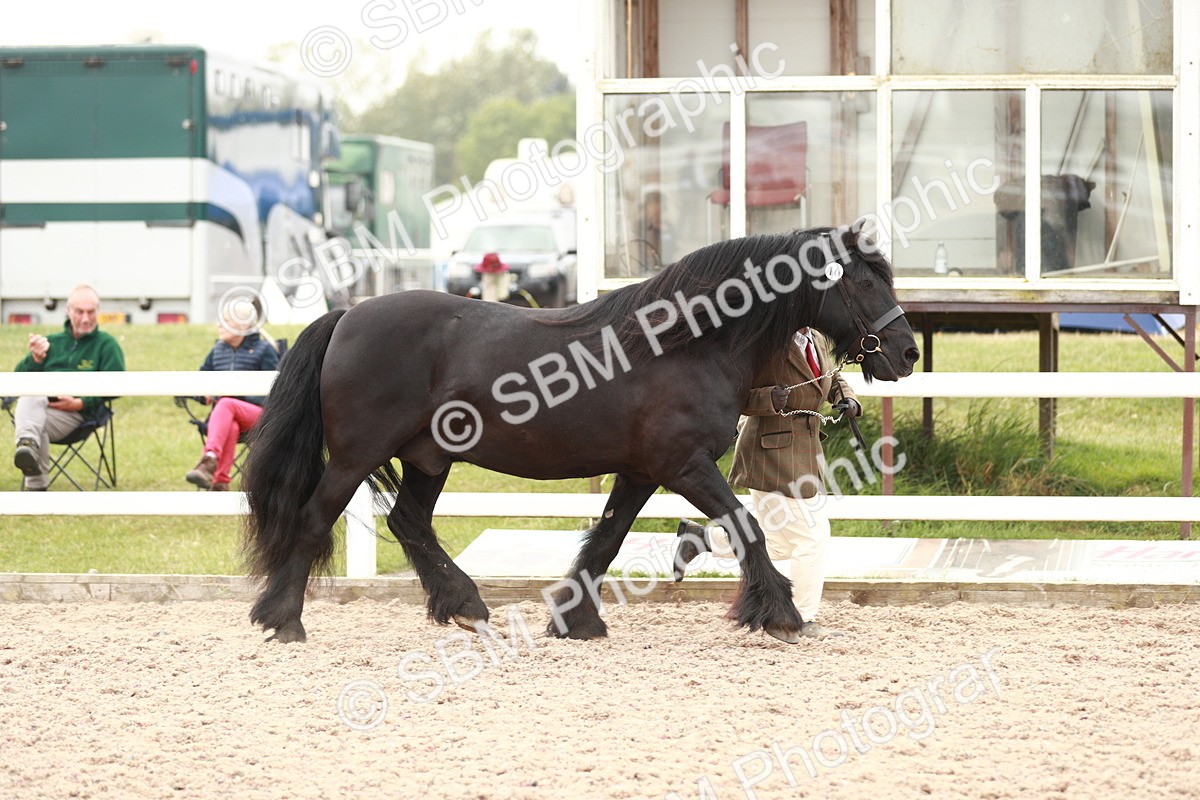 SBM_12455 - Class 207 IH M&M