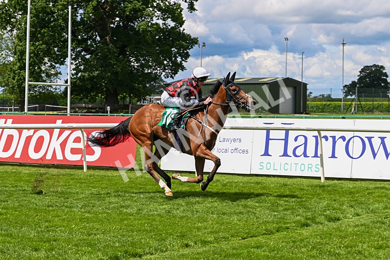 060625-Race 1-In A Hurry-4192 - Race 1