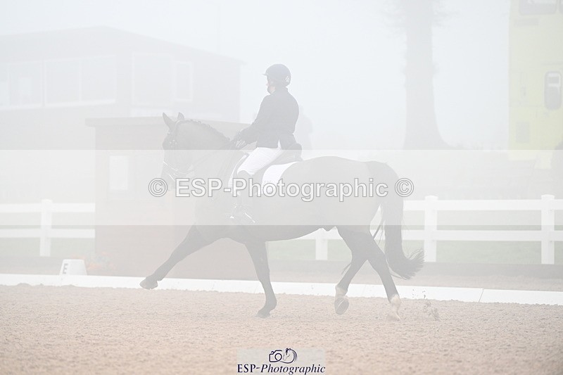 240217A-135732-03517 - 235-Katherine.Davis-Ex.Lunar.Sea