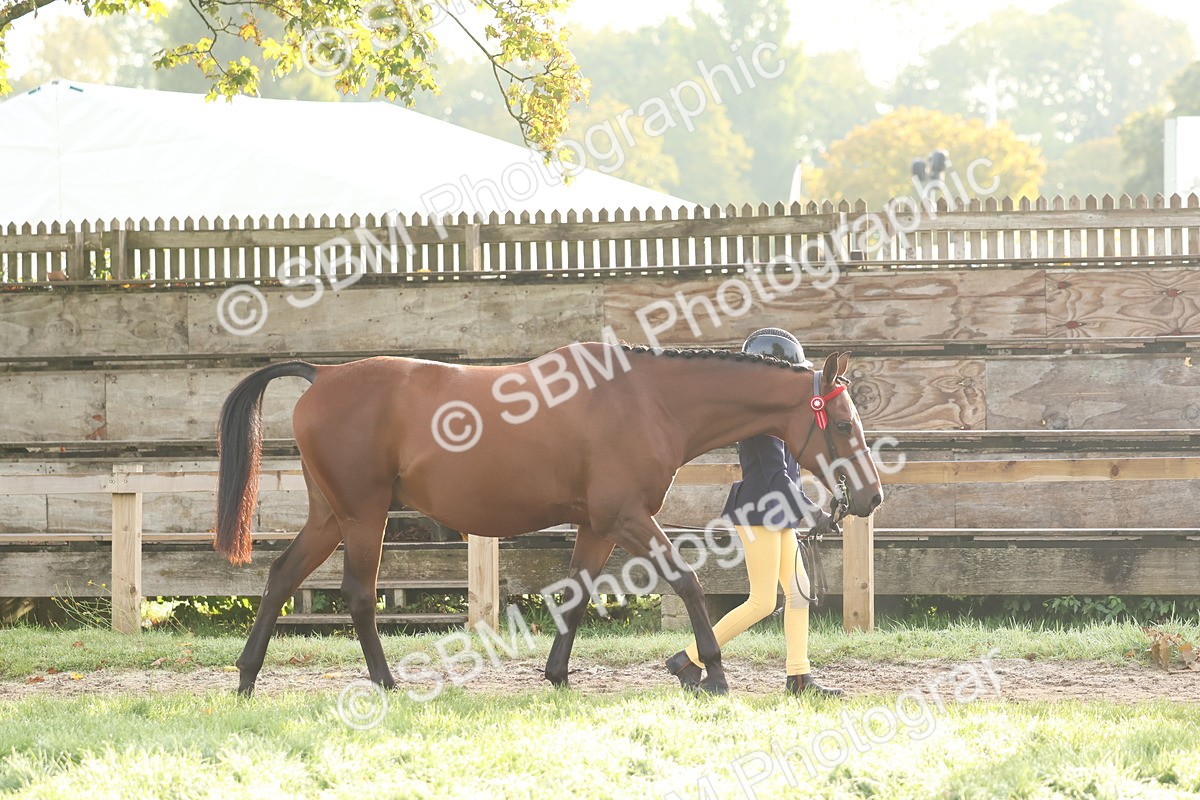 SBM_54742 - S39 - Starters In Hand Showing