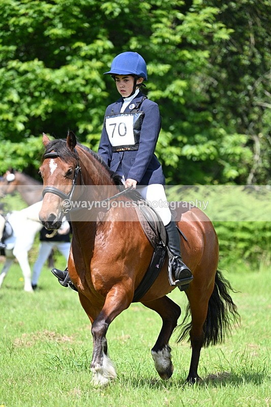 WJ7_1196 - Class 11 Condition & Turnout