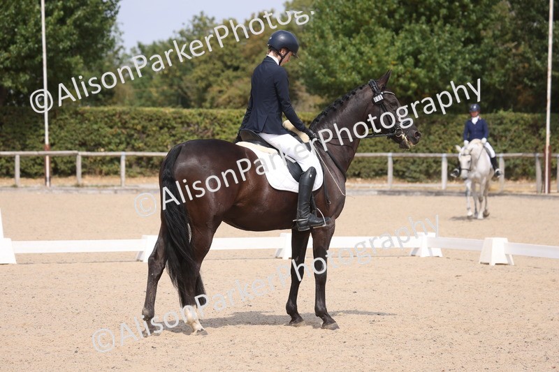 20260816-1104 - Class 4 - Novice 6