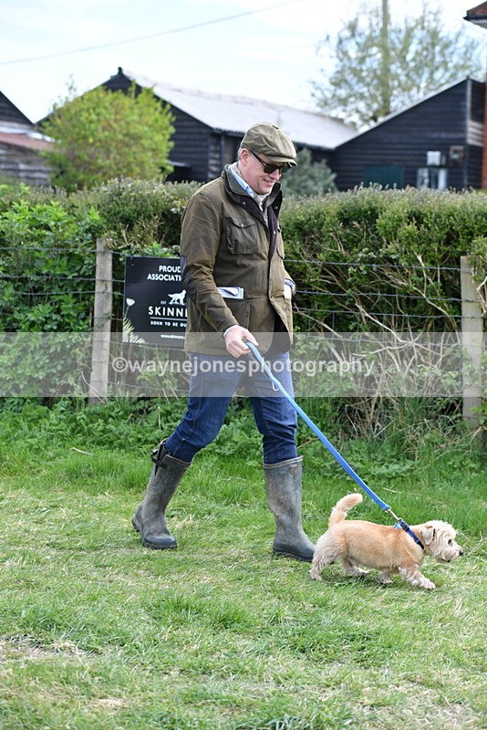 WJ5_0243 - Class 7 Best Terrier