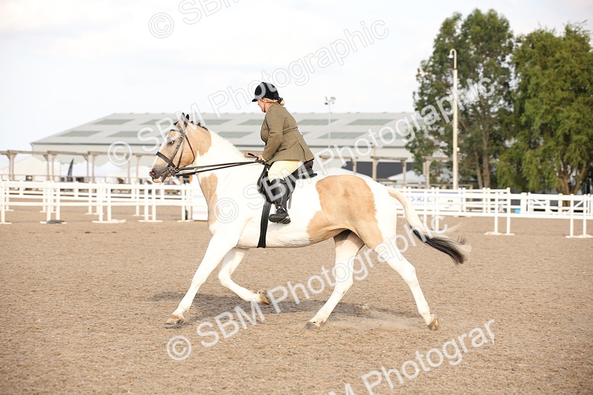 SBM_08848 - Class 12R Regional Ridden Pre-Vet
