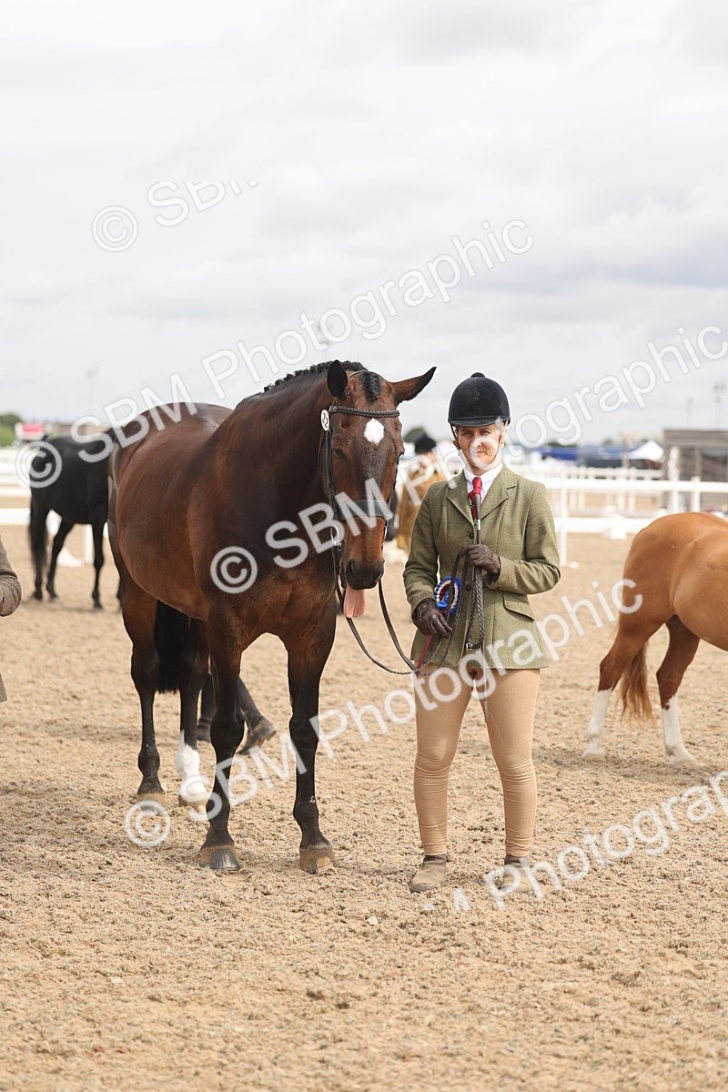 SBM_05041 - Class 20 - IH Veteran