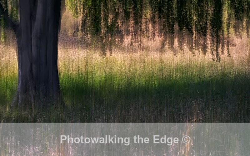 4 Seasons - Abstract - ICM