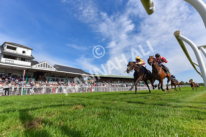260826-Race 3-Battenburg Belle-6350 - Race 3 15:15 Happy 50th Birthday Victoria Melling Handicap