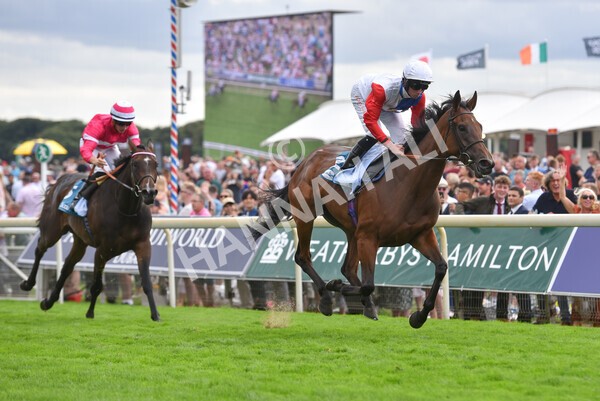 yr19082022r5-31 - Race 5 4.10pm Assured Data Protection EBF Fillies' Stakes