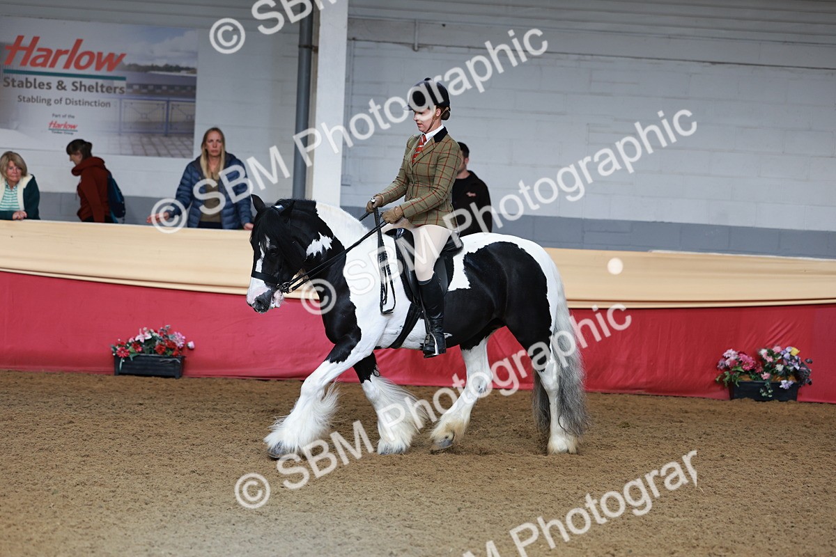 SBM_11890 - Class 102 - Equitation (Best Rider) Adult