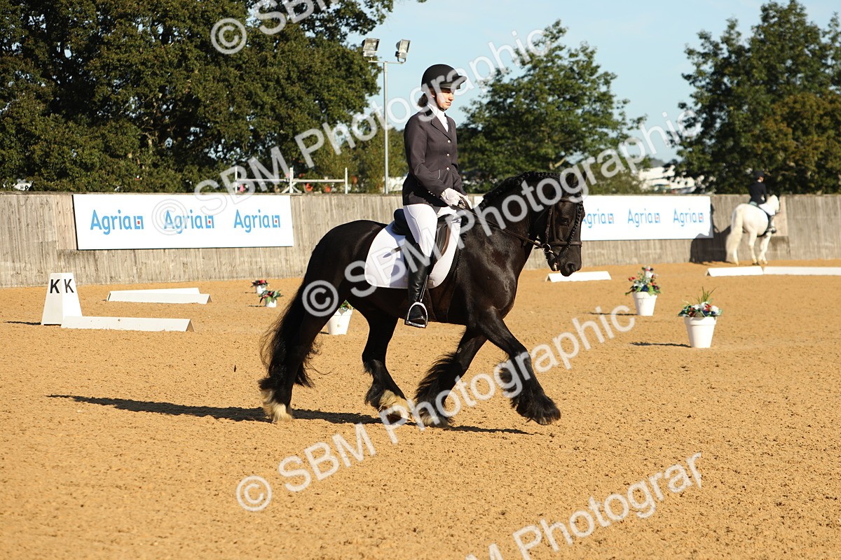 SBM_16408 - D10 - Small Tour Championship - Prelim 2