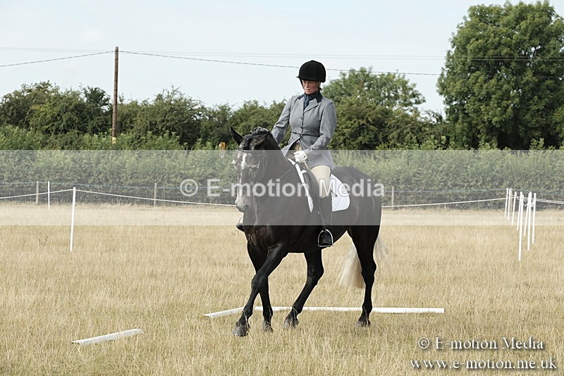 _PJP5629 - Dressage Classes BVRC Show 2018