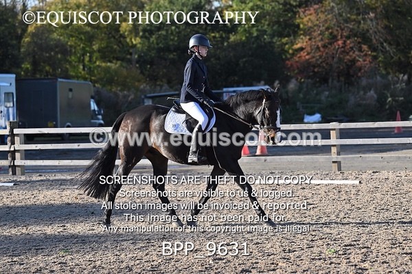 BPP_9631 - SHORT ARENA
