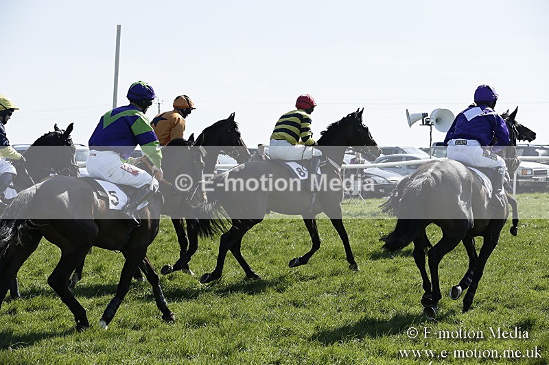 PtP 260317 43 - Mendip Farmers Point-to-Point Ston Easton 26/03/17