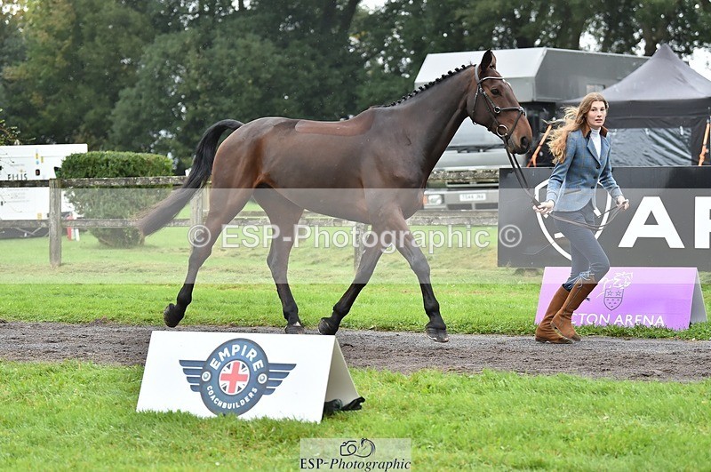 231018-124056-00449 - 052-SHANNONDALE.COURAGE-Georgina.Beeby.Wynn-TrotUp