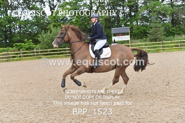 BPP_1523 - FRI CLASS 1 Club/ Unaffiliated 80cms Open