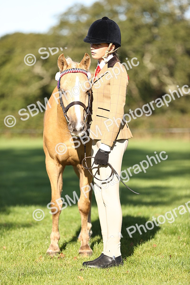 SBM_15822 - S1 - TSR in Hand Horse & Pony Showing
