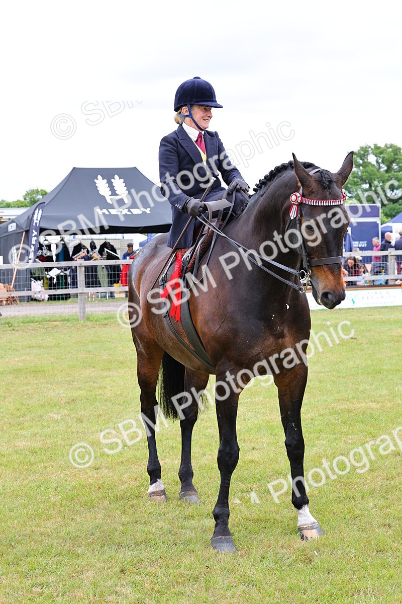 SBM_02972 - Class 9-11 Side Saddle including LIHS Rising Star Ladies Show Horse