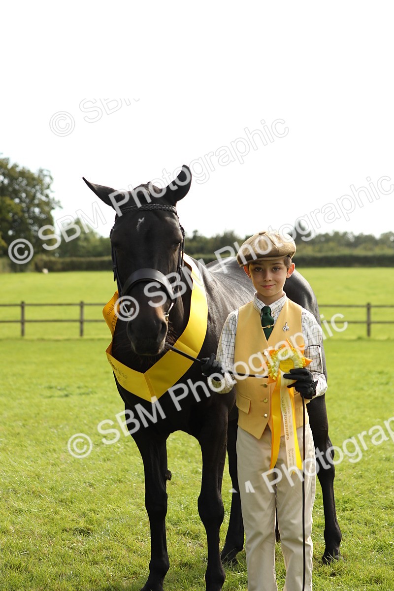 SBM_68736 - S40 - Junior Handler 9-12 Years