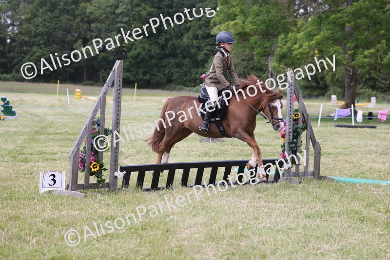 20260614-2073 - Class 21 - Novice Working Hunter Pony