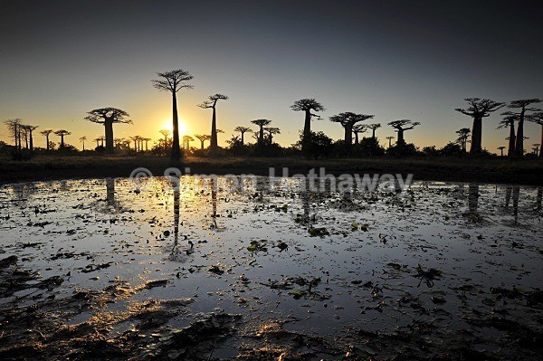  - Madagascar