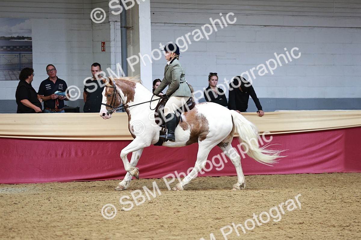 SBM_03681 - Class 6A Area Ridden Pre-Vet