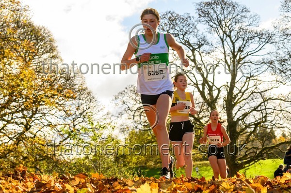 NatRel25-913534 - Young Female Set Two