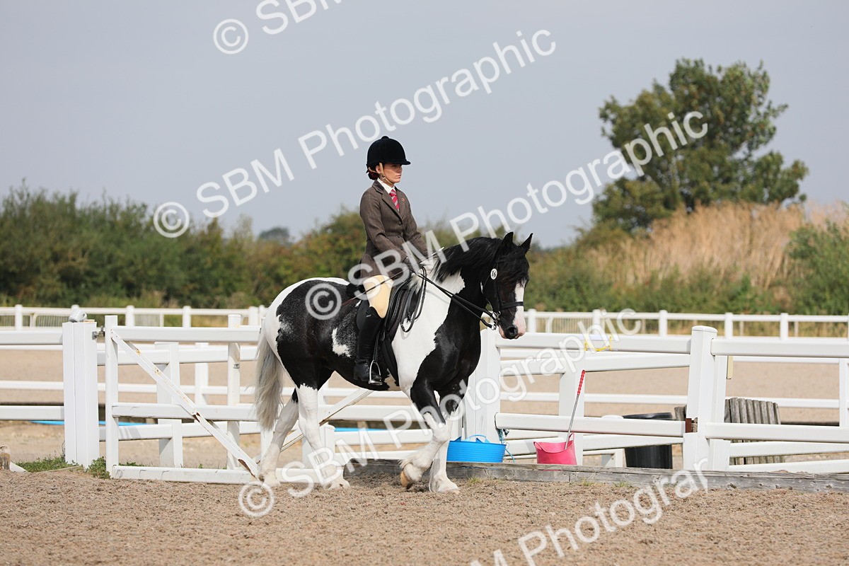 SBM_12659 - Class 307 Ridden Coloured Pony