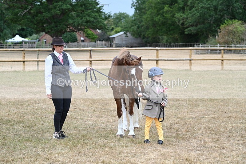 WJ7_9342 - Prettiest Mare Champs