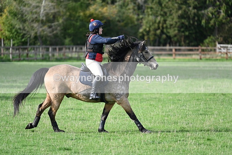 WJ7_1078 - Time 14:27 to 15:11