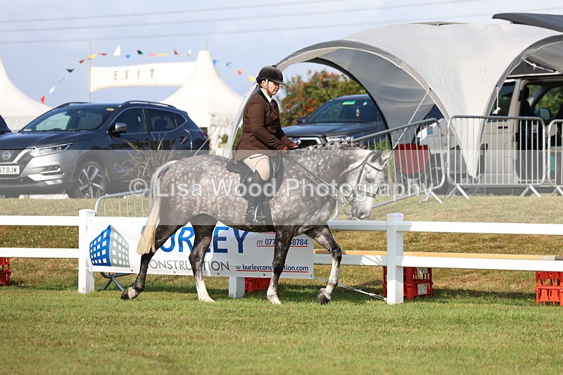 3E7A8458 - Class 3: Rising Star S/L Hunter