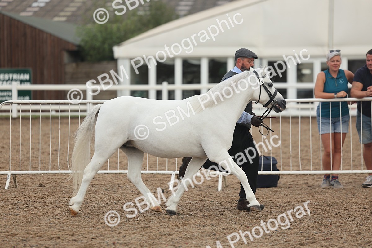 SBM_08456 - Class 29 - IH Veteran Pony