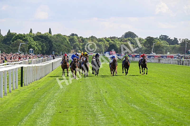 220826-Race 3-Notable Speech-9937 - Race 3 15.00pm Sky Bet City Of York Stakes