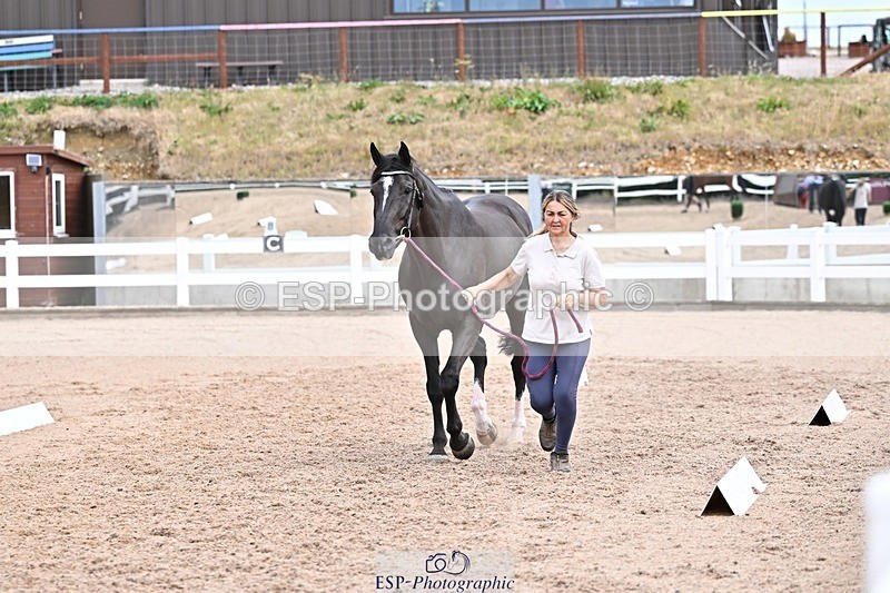 250716-135004-00685 - Trot Up 1.30 to 2.30