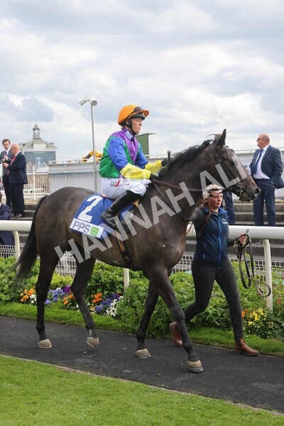 yr11062022r8-7 - Race 8 5.25pm Clean up with PPS Stakes