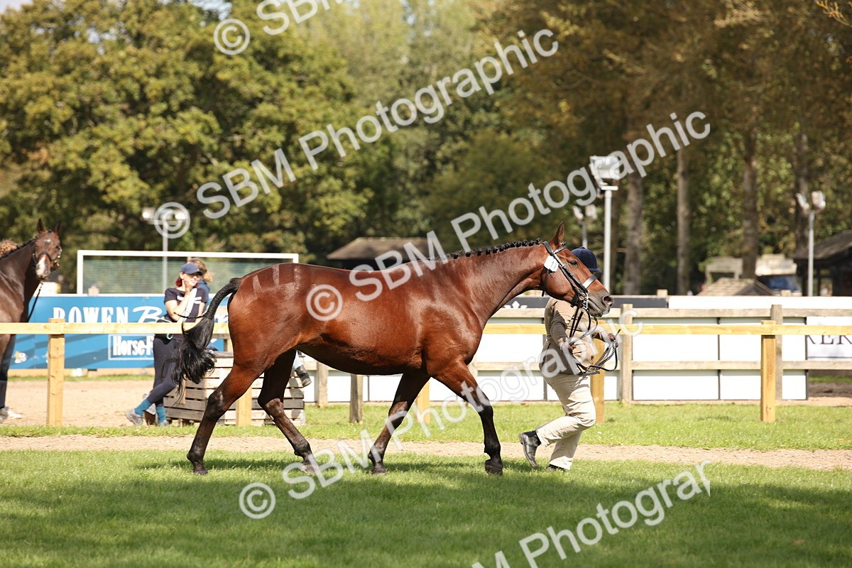 SBM_44462 - S24 - Young Veteran in hand