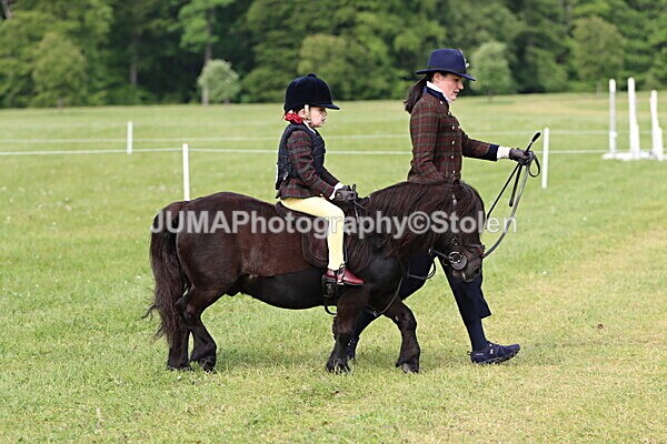 IMG_2245 - Working Hunter