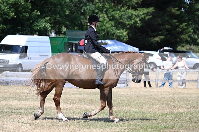 WJ7_3633 - Class 8 Ridden Veterans