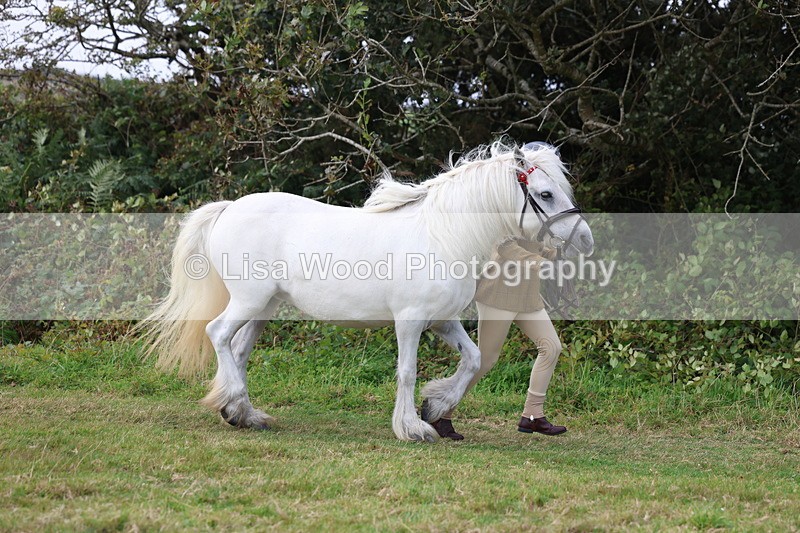 3E7A5266 - Class 18: Veteran in Hand