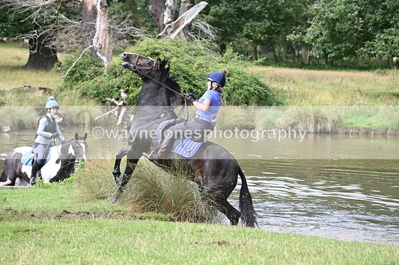 WJ7_1747 - Time at Water 10:48 to 11:13