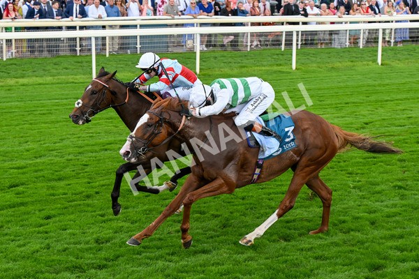 260725-Race 5-Beylerbeyi-0733 - Race 5 3.50pm Sky Bet, For The Fans Handicap