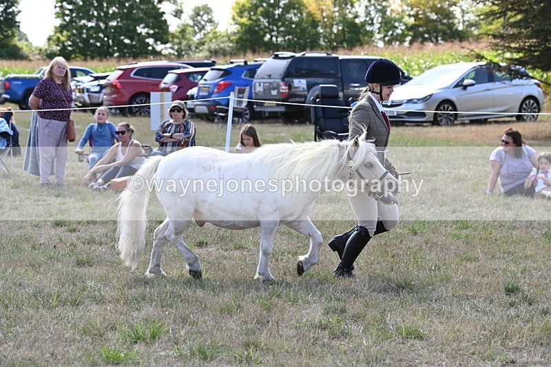 WJ6_4929 - Class 17 Mountain & Moorland