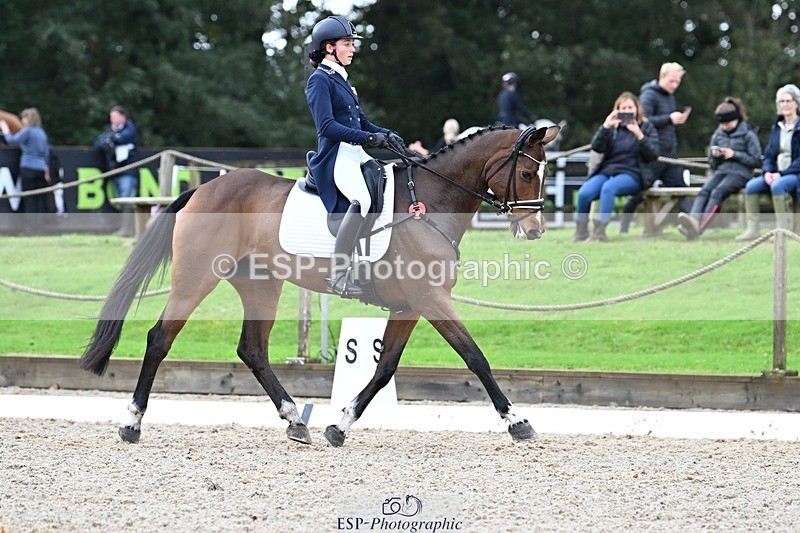 231019-122254-02749 - 044-COOLEY.ON.THE.CARDS-Charlotte.Cooke-DR