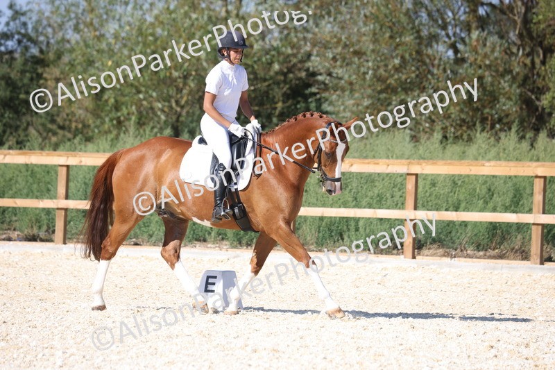20260905-1548 - Class 5 - Novice 2