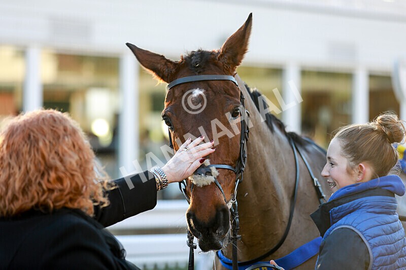 010125-Race 2-Beat The Edge-2342 - Race 2