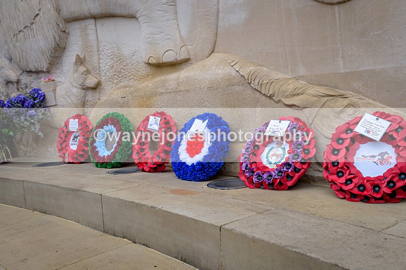 NGP_8332 - 2024 Animals in War Remembrance Gathering