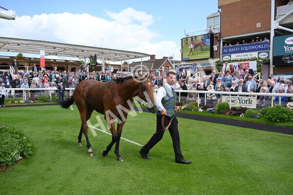 yr10062022r2-53 - Race 2 2.30pm SKF Rous Selling Stakes